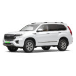 EV0064 New Great Wall Motors HAVAL H9 5-Door 7-Seater SUV Gasoline Off-road Vehicle