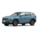 EV0066 Haval H6 5-Door 5-Seat 2.0T SUV Gasoline Car New Planning For Sale