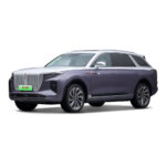 EV0092 Hot Sale New Energy Vehicles SUV Hongqi Red Flag E-HS9 Large SUV Electric Car 4/6/7 Seats Chinese HONG QI Adult Auto