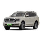 EV0074 Tank 500 Hi4-T New Energy Plug-in Hybrid Four-wheel Drive Luxury Off-road Vehicle SUV