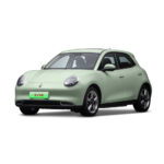 EV0070 ORA Goodcat 4-Door 5-Seater New Energy Pure Electric Small Hatchback.